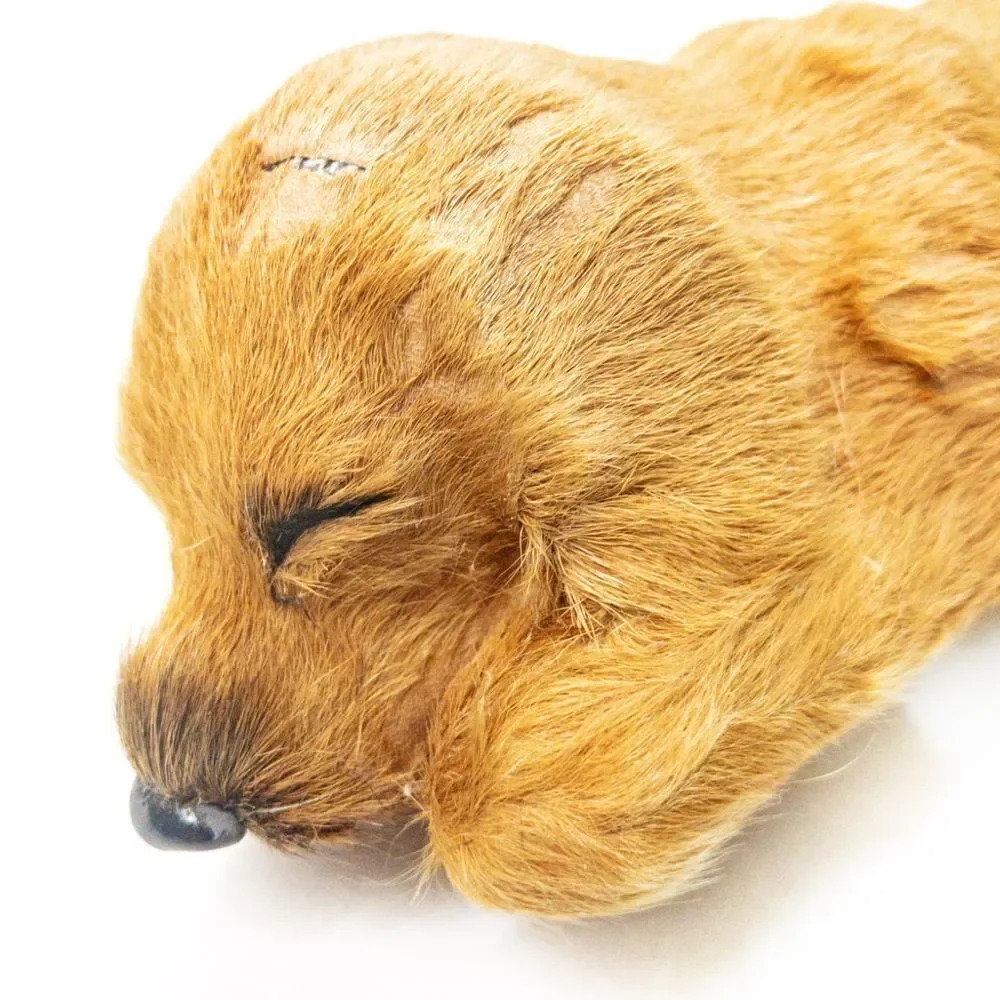 Vintage Golden Retriever Puppy Dog Figure - Real Fur